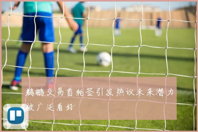 鹈鹕交易首轮签引发热议未来潜力被广泛看好